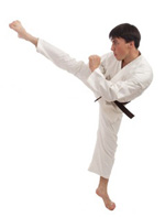 Karate-do.be tout sur le karaté